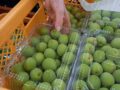 コラム：サムネイル画像