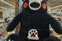 コラム：サムネイル画像