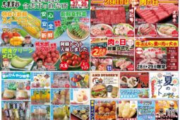 コラム：サムネイル画像