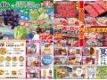 コラム：サムネイル画像