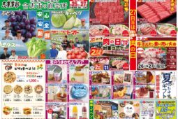 コラム：サムネイル画像