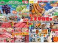 コラム：サムネイル画像
