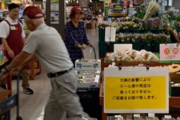 コラム：サムネイル画像