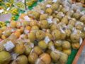 コラム：サムネイル画像