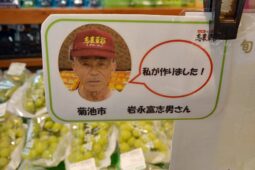 コラム：サムネイル画像