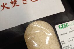 コラム：サムネイル画像
