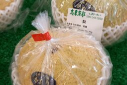 コラム：サムネイル画像