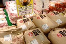 コラム：サムネイル画像