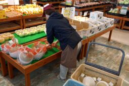 コラム：サムネイル画像