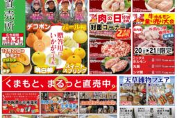 コラム：サムネイル画像