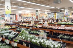 コラム：サムネイル画像