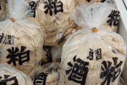 コラム：サムネイル画像