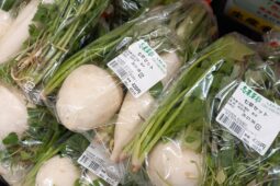 コラム：サムネイル画像