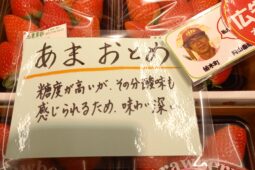 コラム：サムネイル画像