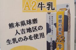 コラム：サムネイル画像