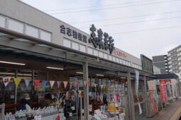 コラム：サムネイル画像