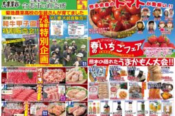 コラム：サムネイル画像