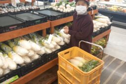 コラム：サムネイル画像