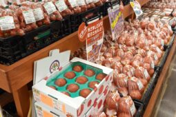 コラム：サムネイル画像