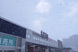 コラム：サムネイル画像