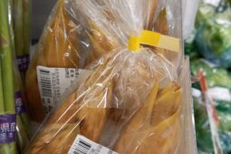 コラム：サムネイル画像