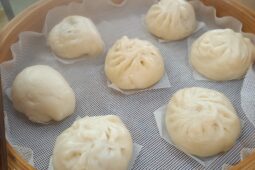 コラム：サムネイル画像