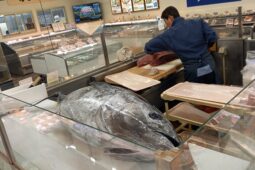 コラム：サムネイル画像