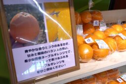 コラム：サムネイル画像