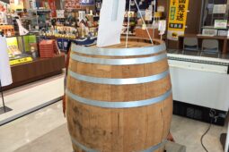 コラム：サムネイル画像