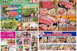 コラム：サムネイル画像