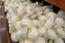 コラム：サムネイル画像