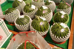 コラム：サムネイル画像