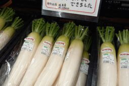 コラム：サムネイル画像