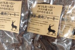 コラム：サムネイル画像