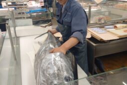 コラム：サムネイル画像