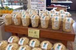 コラム：サムネイル画像