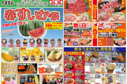 コラム：サムネイル画像