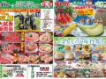 コラム：サムネイル画像