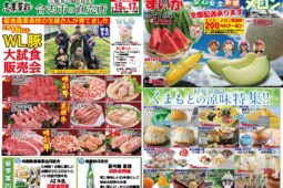 コラム：サムネイル画像