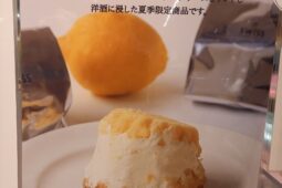 コラム：サムネイル画像