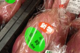 コラム：サムネイル画像