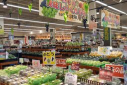コラム：サムネイル画像