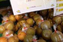コラム：サムネイル画像