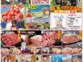 コラム：サムネイル画像
