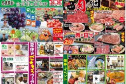 コラム：サムネイル画像