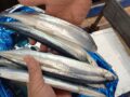コラム：サムネイル画像