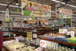 コラム：サムネイル画像