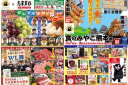 コラム：サムネイル画像