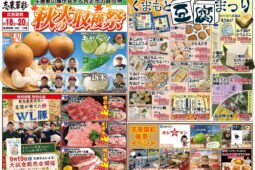 コラム：サムネイル画像