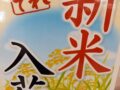 コラム：サムネイル画像